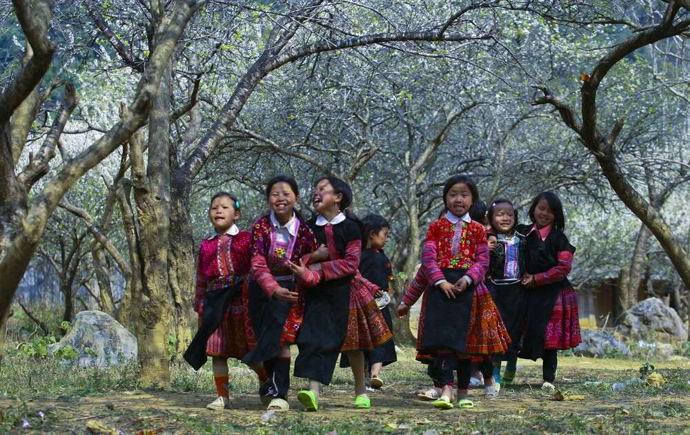 Hmong New Year 2026 in Vietnam and Laos: Unique Traditions