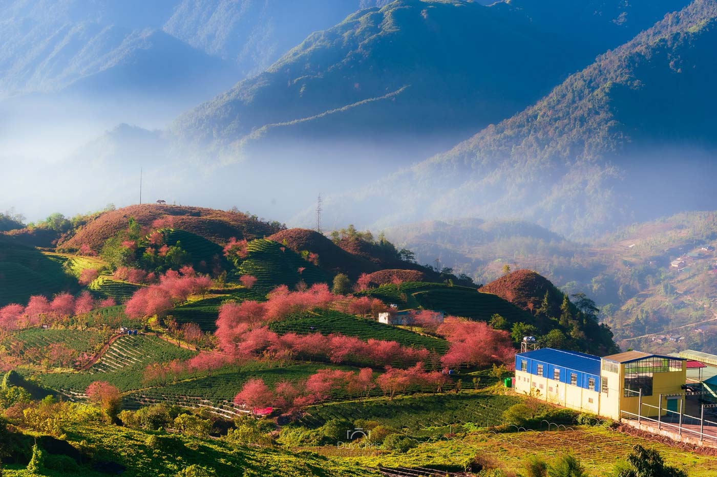 Best Time to Visit North Vietnam and Where to Go?