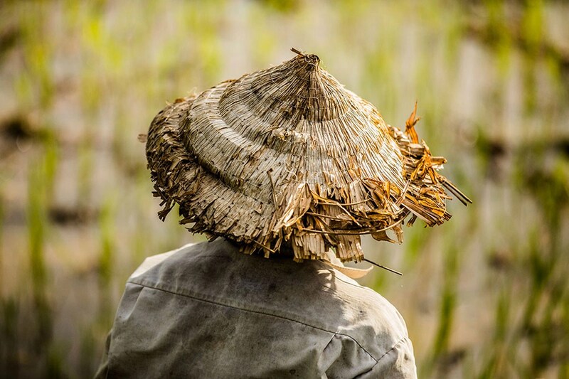 Conical Hat (Nón Lá): Vietnams Iconic Traditional Hat