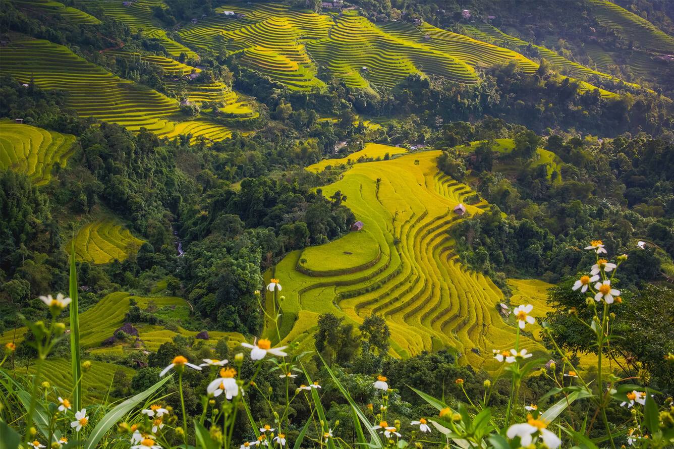Bac Ha, Vietnam: 7 Best Things to Do in the White Plateau