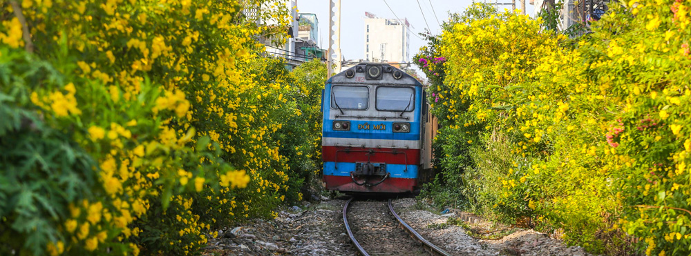Vietnam Train Travel 2025: Essential Local Guide & Tips
