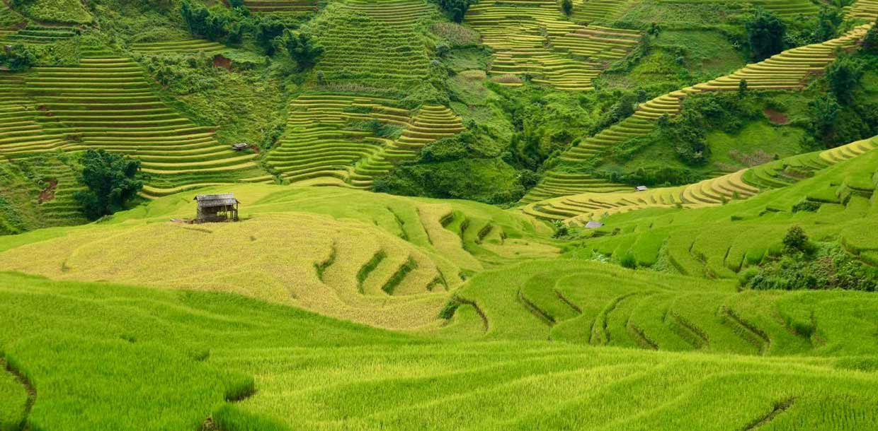 Ultimate guide to Lao Chai, Sapa: How to trek, stay, and connect