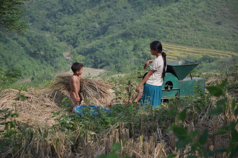 Hmong in Vietnam: Stories from the Northern Highlands
