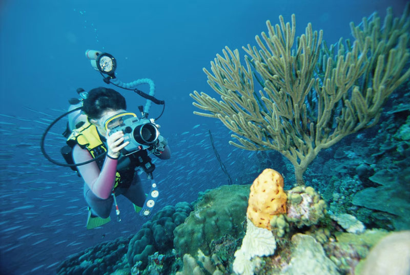 Phuket Diving