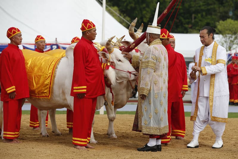 Royal Ploughing Ceremony