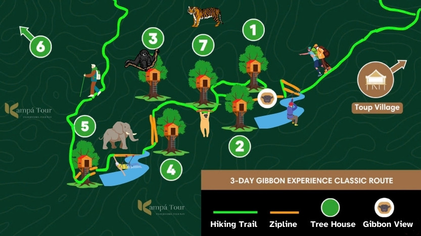 There are a total of 7 tree houses and each will be for a different tour nature.