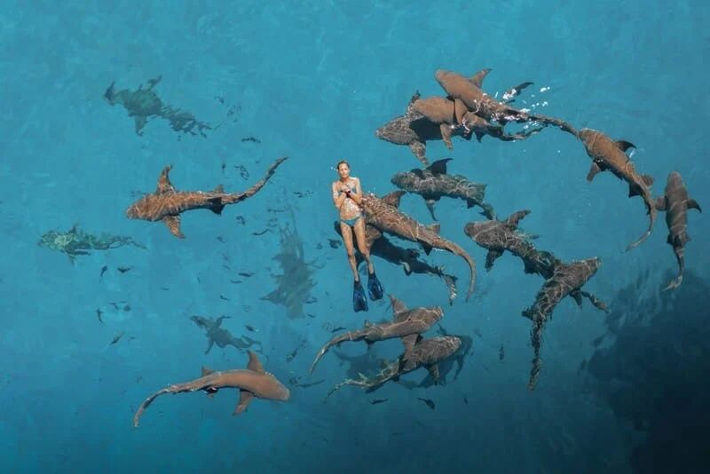 Indian Ocean
