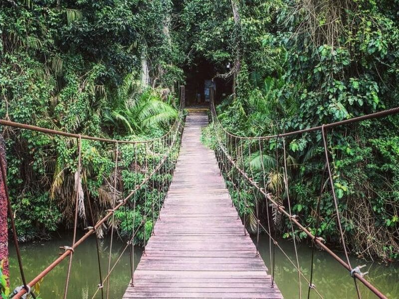 Khao Yai National Park