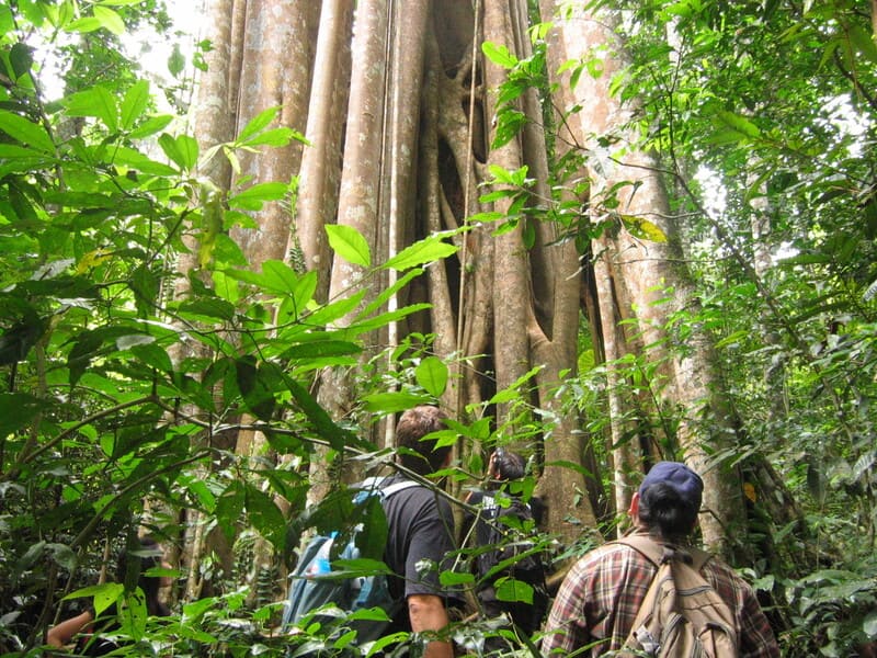 Khao Yai Park