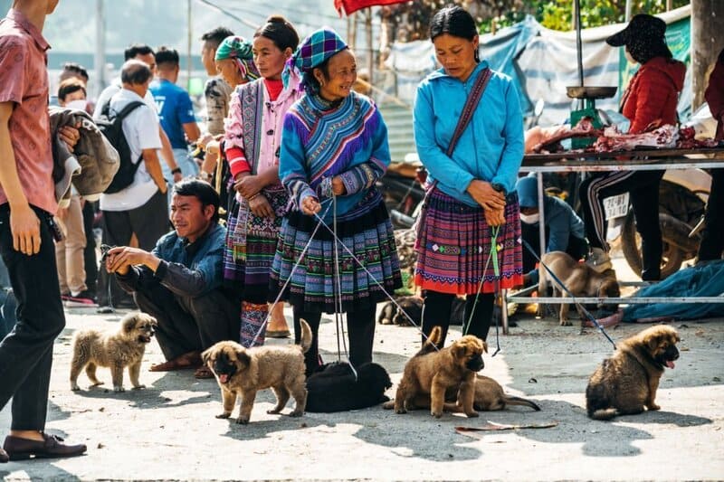 Market in Bac Ha