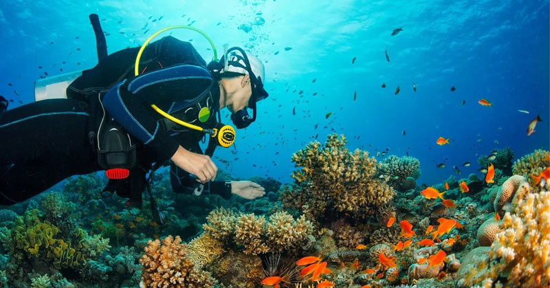 Phuket Diving Adventures