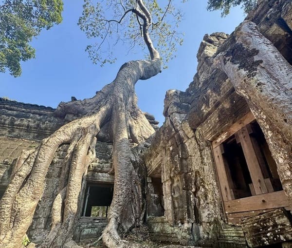 Ta Prohm