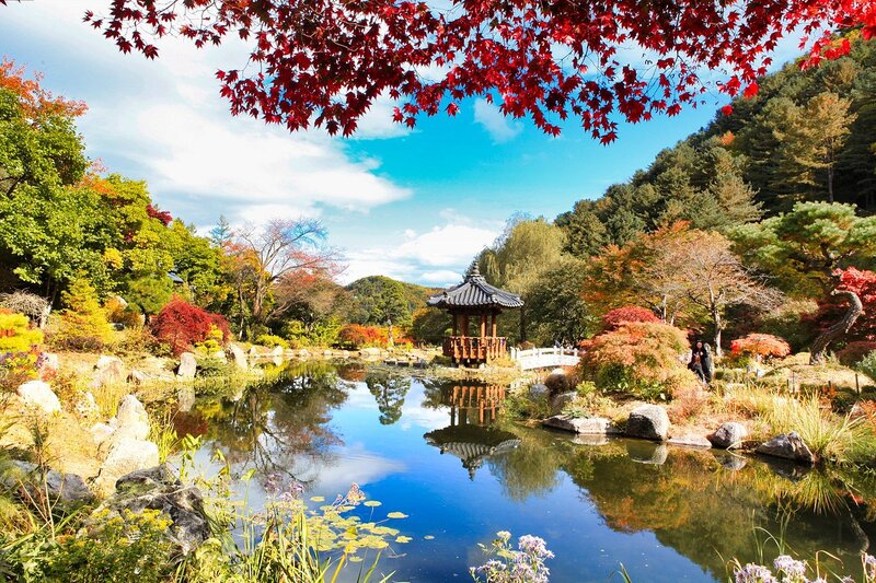  The poetic beauty of the garden in broad daylight