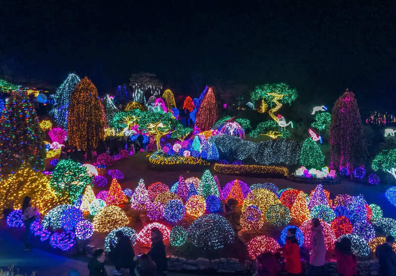  The garden appears like a fairy tale