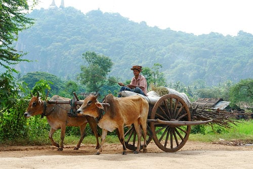 The peaceful beauty of Battambang