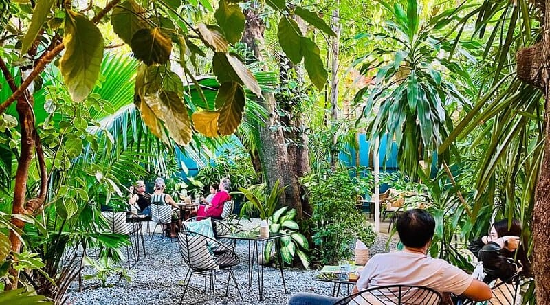 siem reap restaurants  