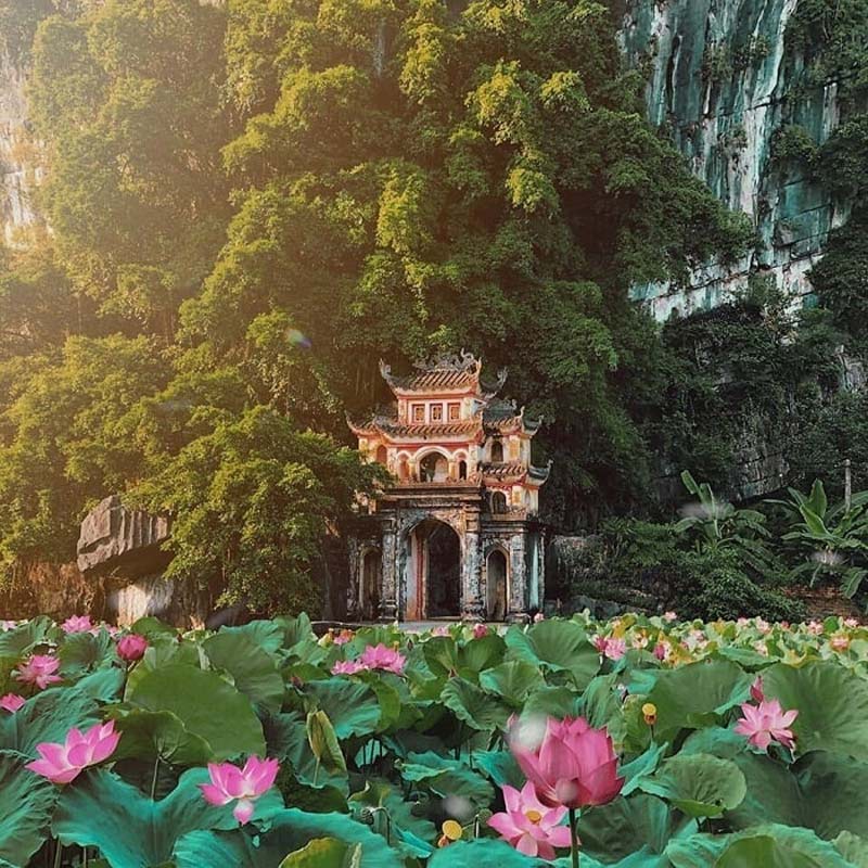 Bich Dong lotus pond