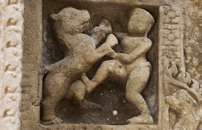 The martial art of 'lion fighting'