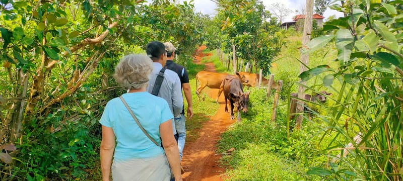 cambodia in 3 weeks