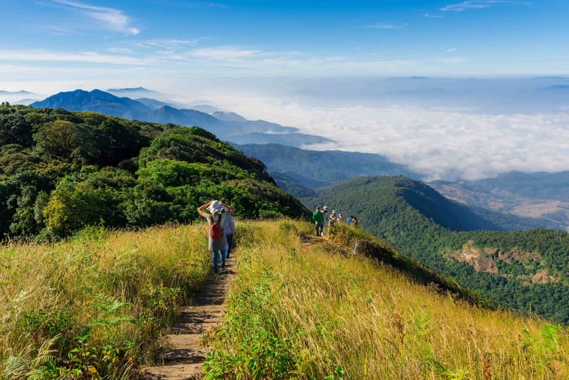 Trekking in Doi Inthanon National Park