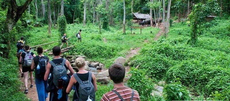 Hiking in the Cuc Phuong National Forest