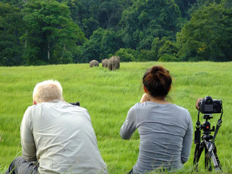 Khao Yai National Park