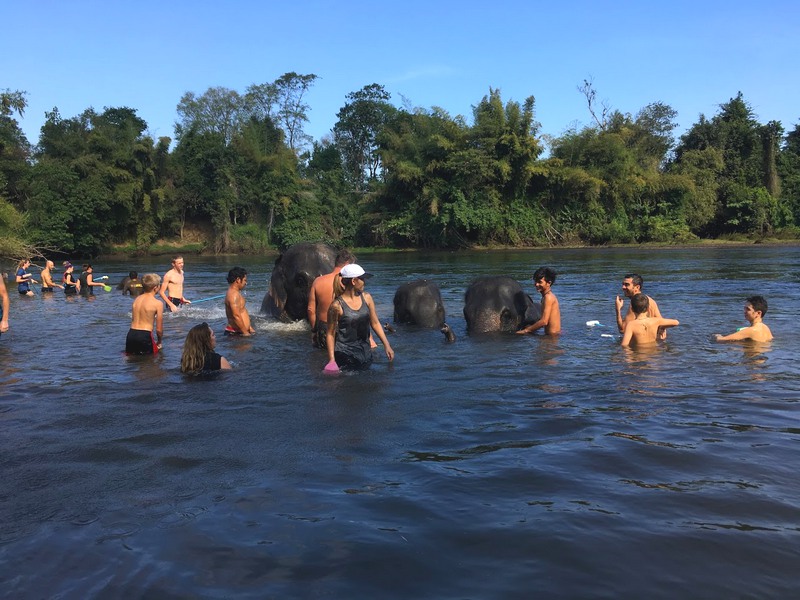 Tourists and elephants frolic on the River Kwai