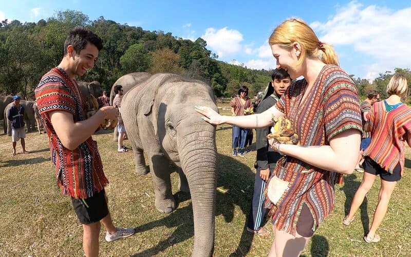 Elephant sanctuary, Chiang Mai 