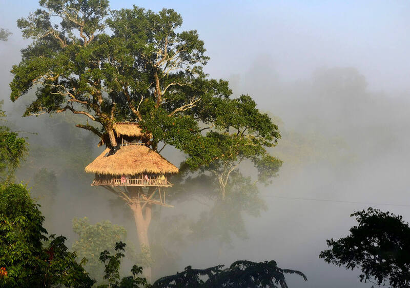 Full view of Gibbon Experience treehouse