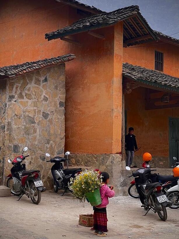 Hmong ethnic girl selling wildflowers on the street of a mountain village in Ha Giang