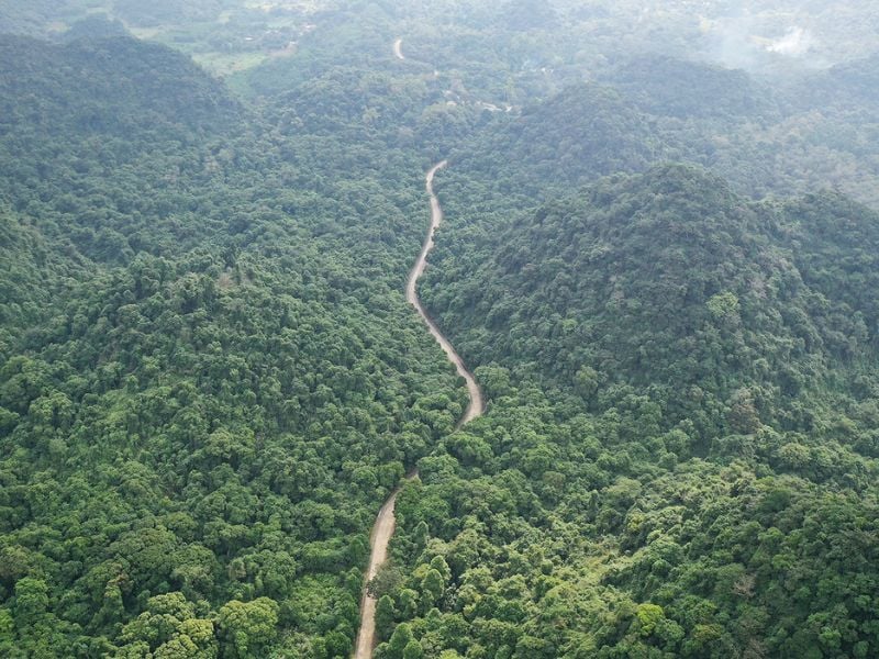Main route leading to the heart of Cuc Phuong National Park. Photo: Ngoc Thanh