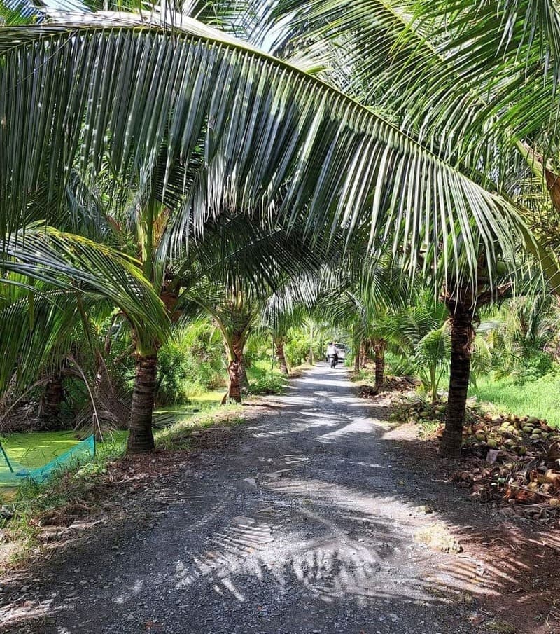tra vinh