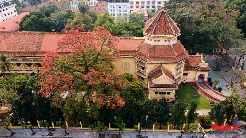 National Museum of Vietnamese History