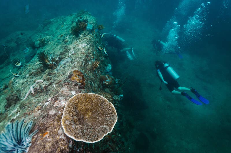 diving in Koh Lipe