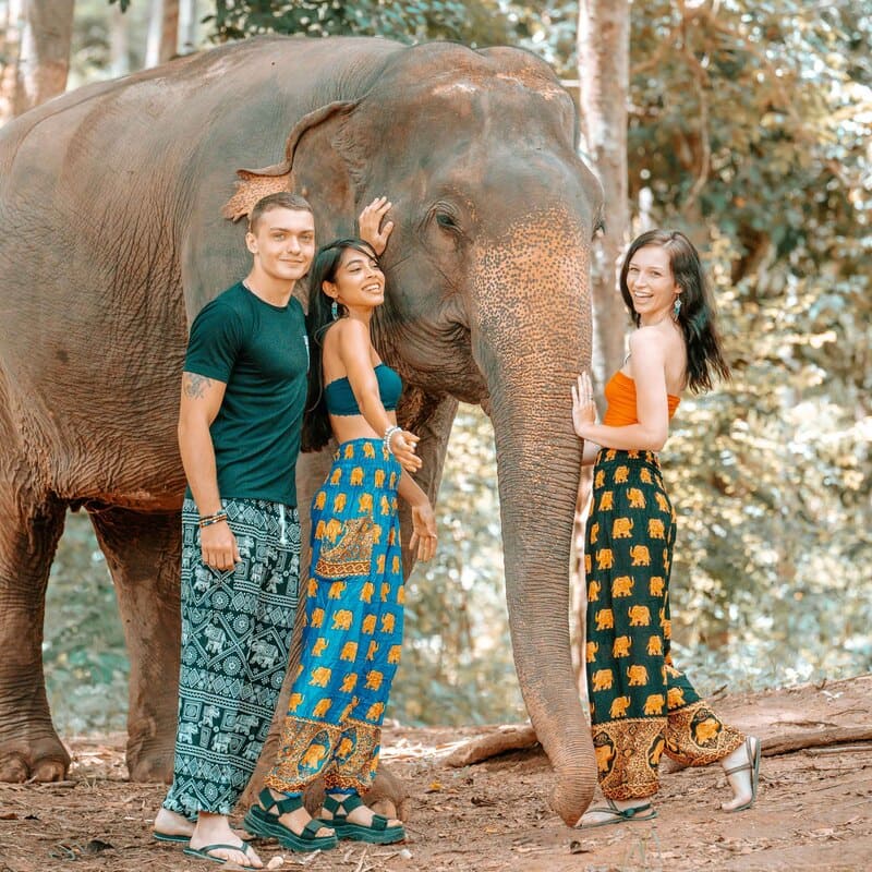 Elegance and Style: Trousers with Elephant Motifs