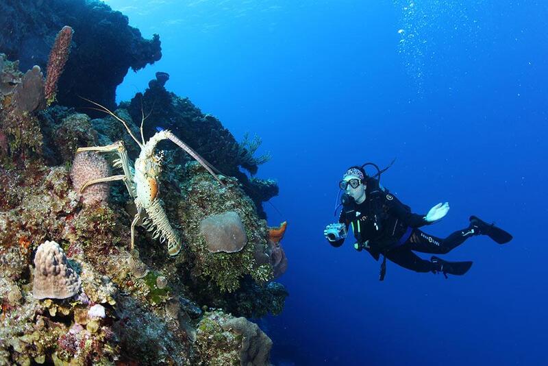 Richelieu Rock