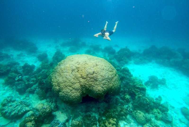 diving in Koh Lanta