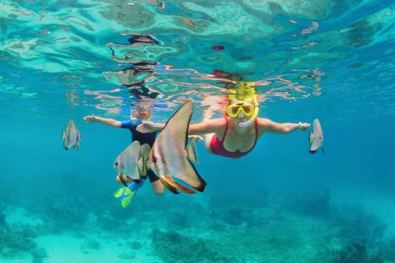 diving in the Similan Islands