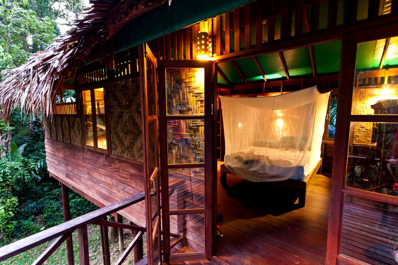 treehouse cabins