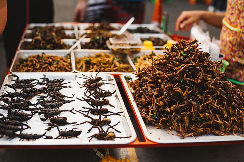 Fried insects