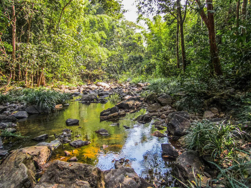 Virachey National Park 