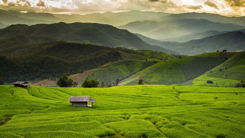 North Thailand in August