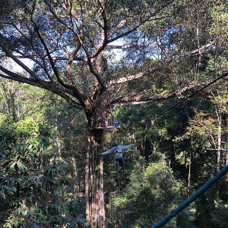Soar through the trees like Tarzan!!!!
