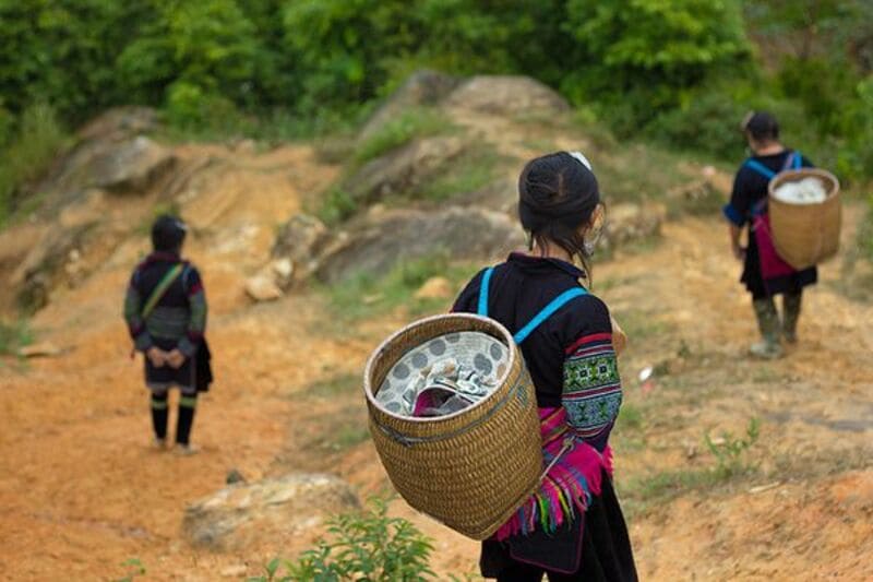 lao chai hmong