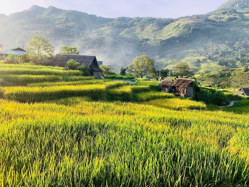 lao chai ta van sapa