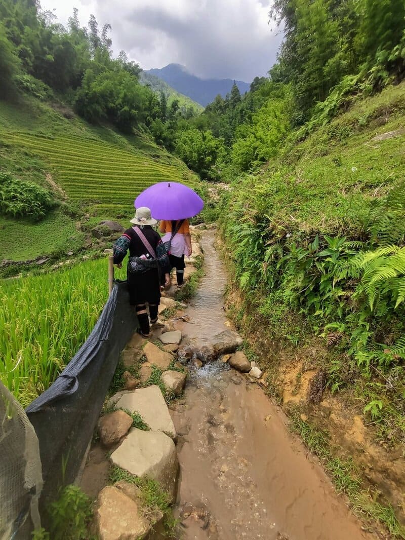 trekking in Muong Hoa Valley
