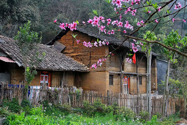 tradicional house vietnam