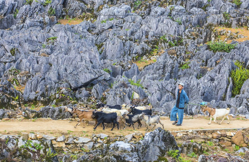 dong van ha giang