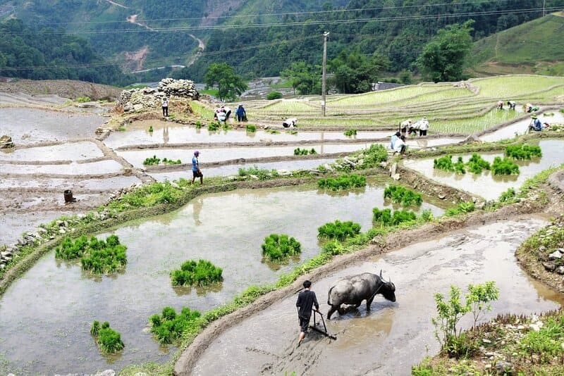 Muong Hoa Valley