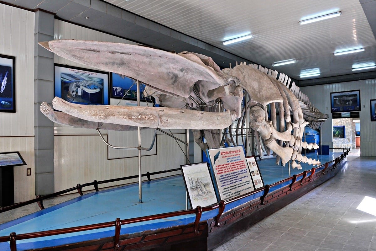 National Oceanographic Museum